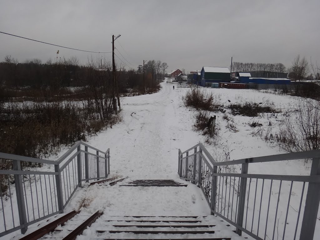 Переулок Пальчикова