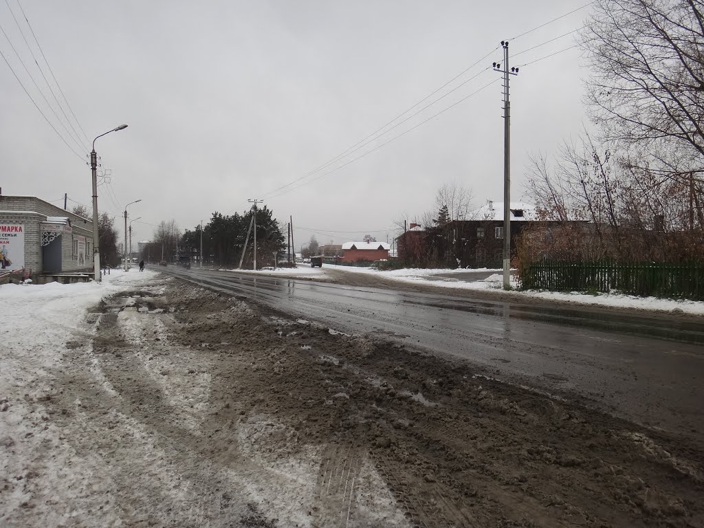 Улица Пальчикова