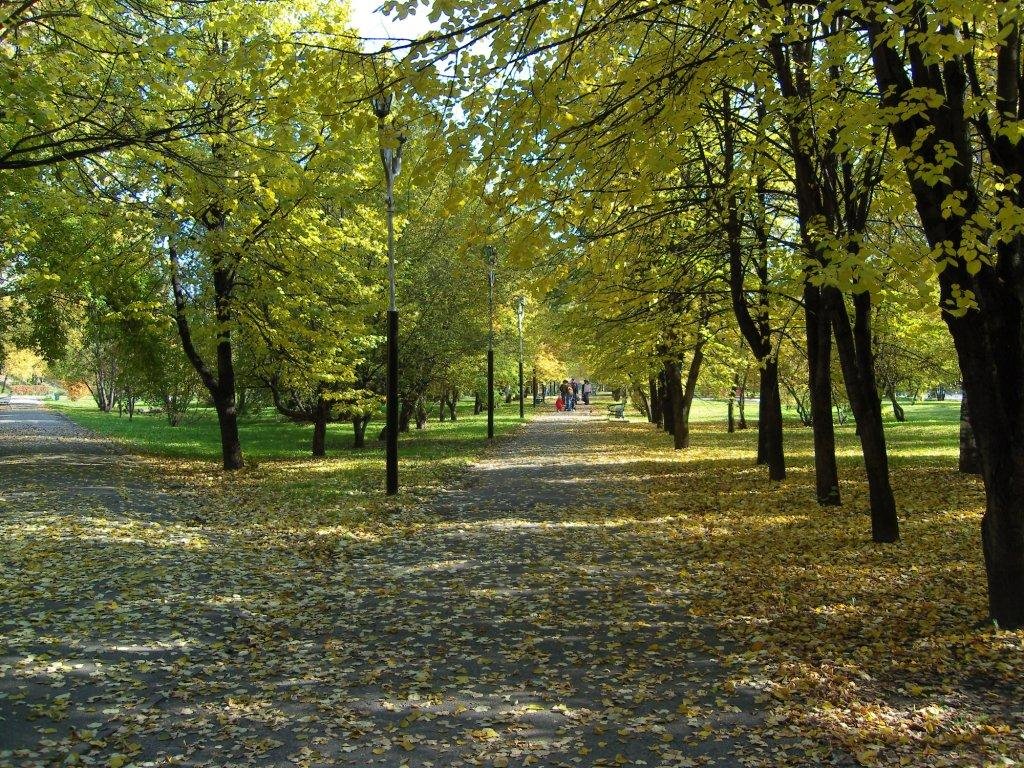 Аллея на набережной в центре города