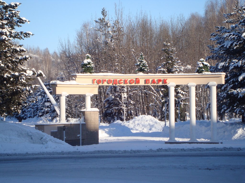 Городской парк