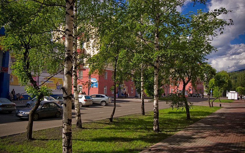 Комарова