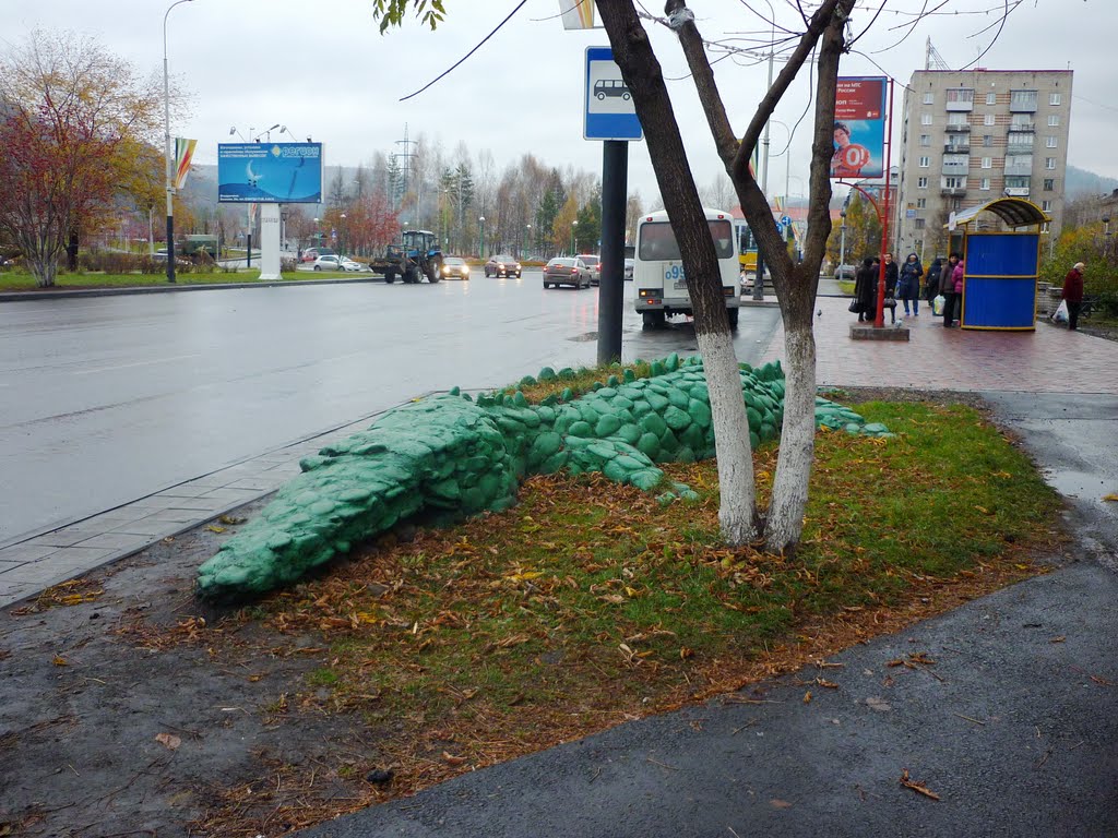 Крокодил