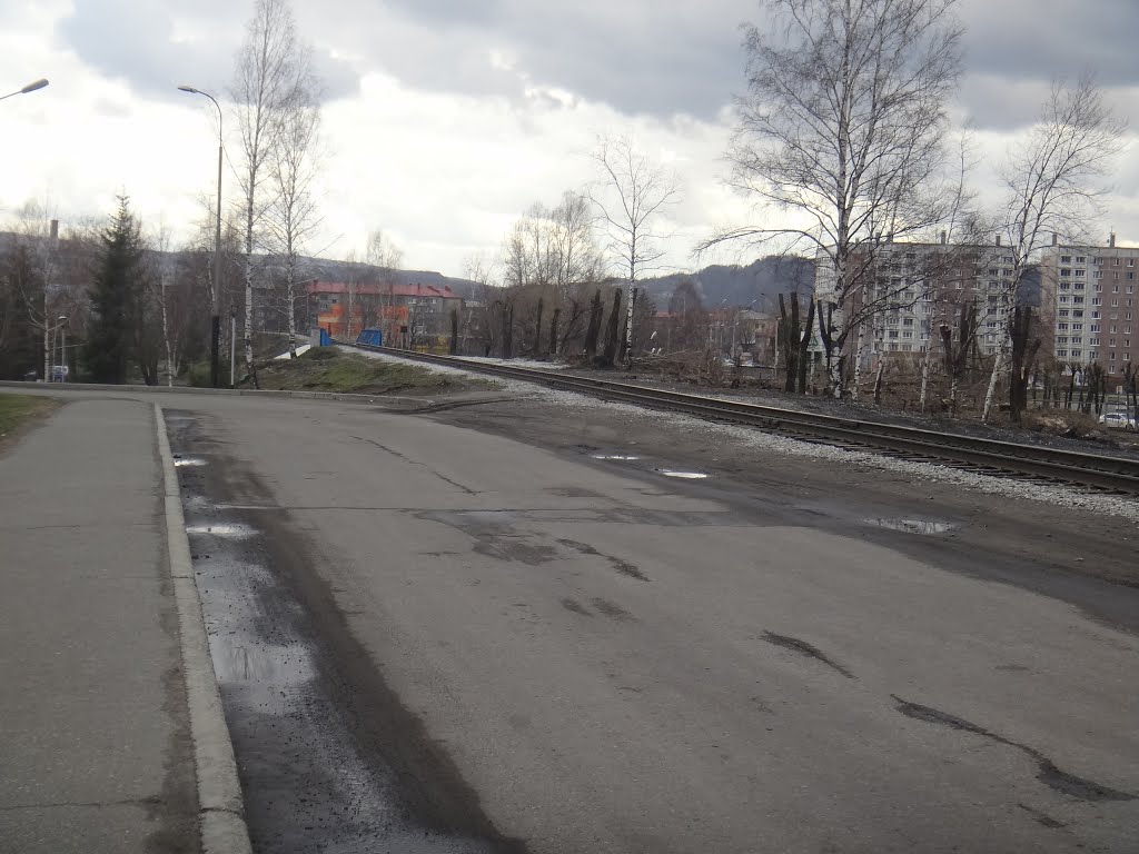 Подъездной путь, Вид в сторону ст. Междуреченск