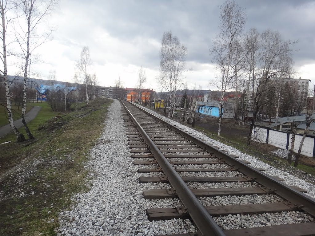 Подъездной путь, Вид в сторону ст. Междуреченск