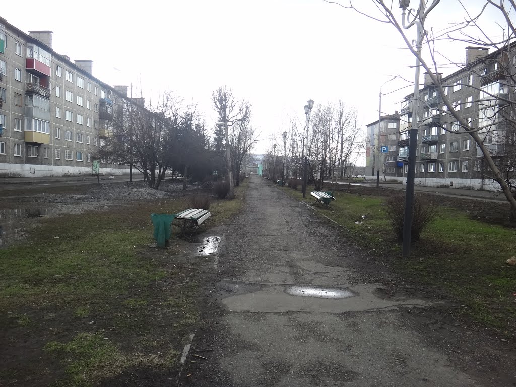 Аллея по ул. Юности