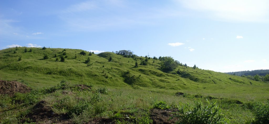 Лысая гора