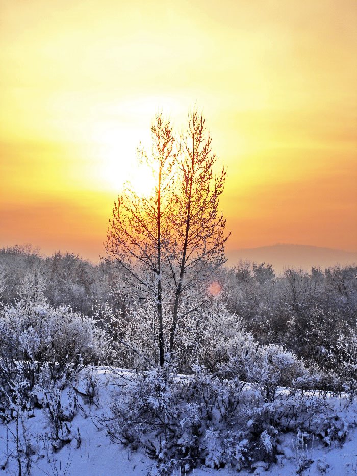 Winter sunshine