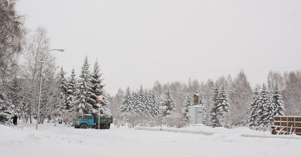 Снегопад, площадь