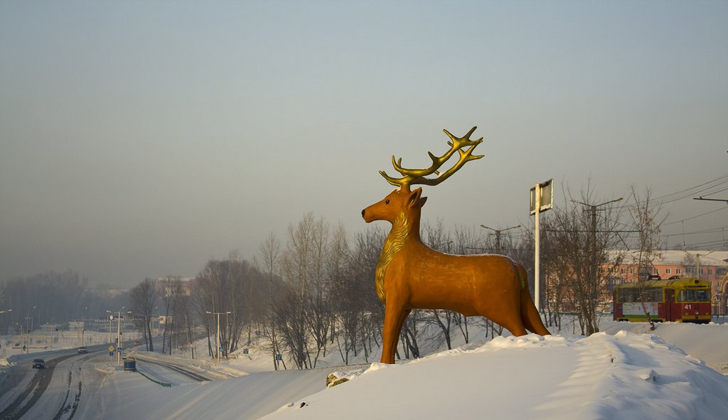 Олень!