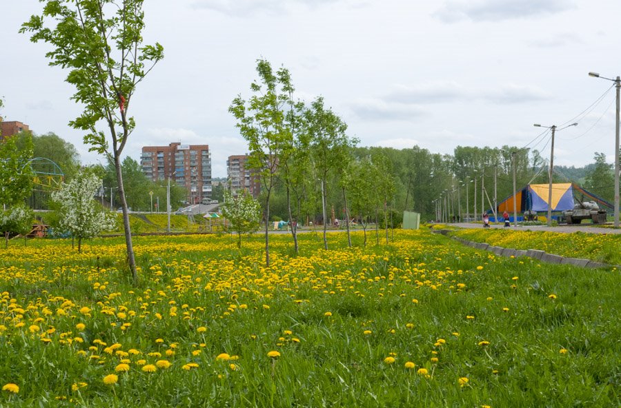 в парке