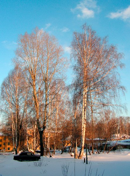 Лазурь и злато