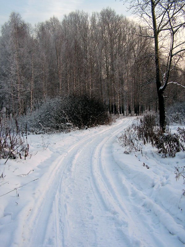 в парке зимой...