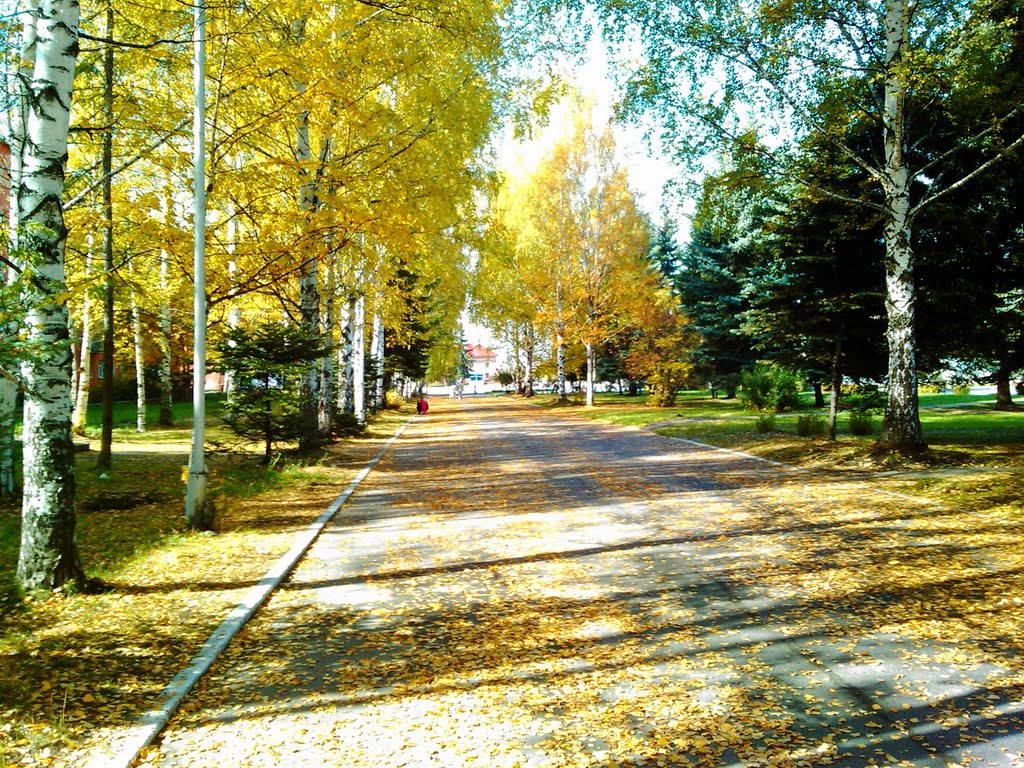 Осень в Осинниках