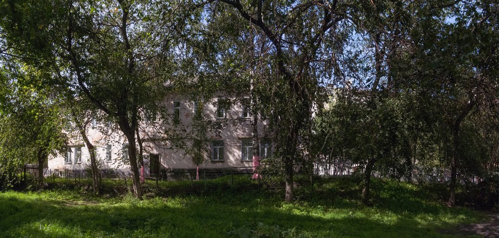 Заросший дворик, сентябрь 2013