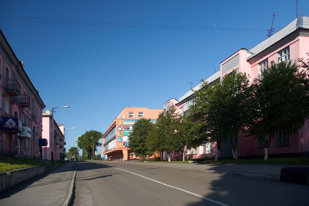 ул. К. Либкнехта, июнь 2009