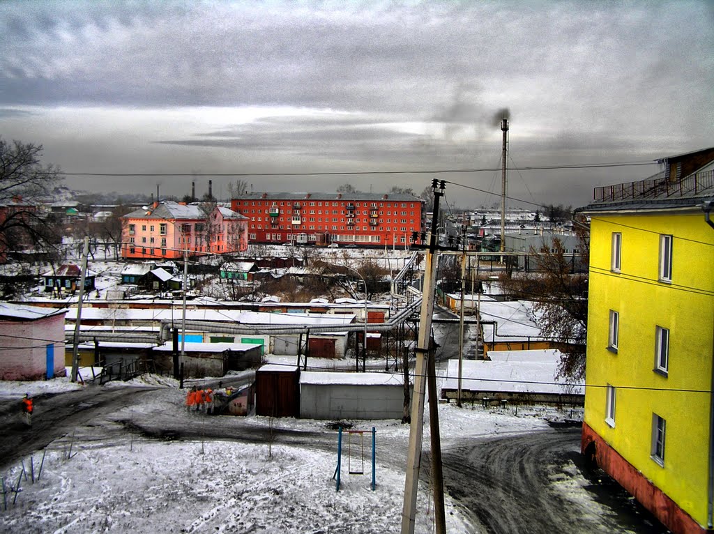 Прокопьевские виды