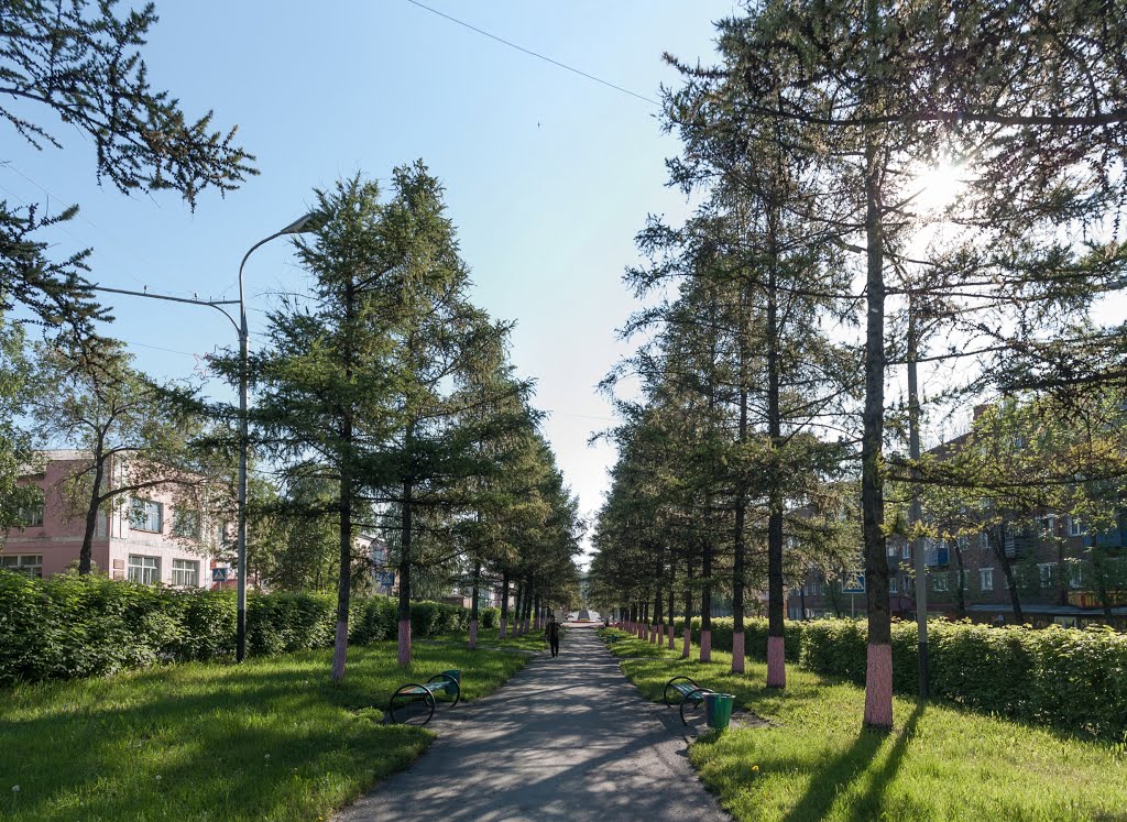 Аллея на ул. Комсомольской, вид на перекрёсток с пр-ктом Шахтёров, июнь 2013