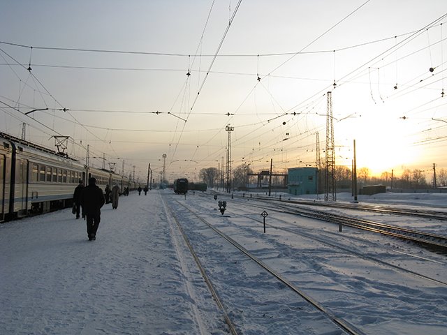 Тайга 14.02.2008