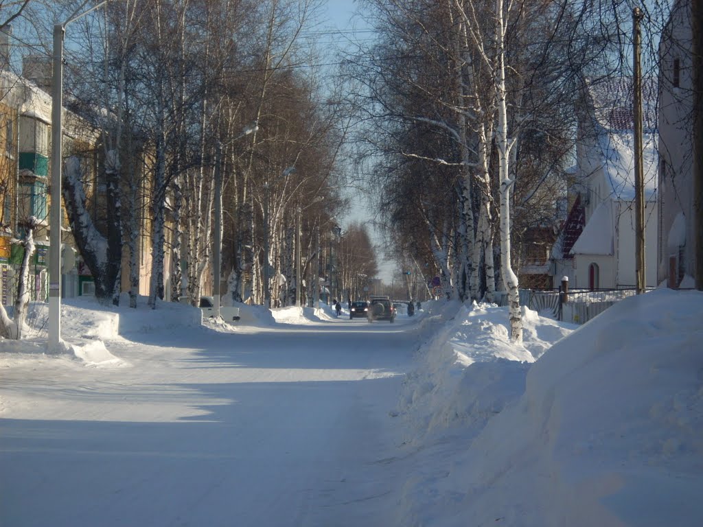 Тайга
