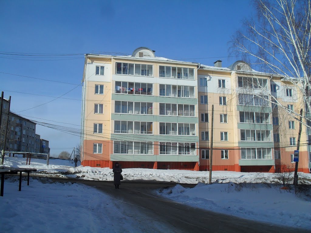 Новый крупнопанельный дом