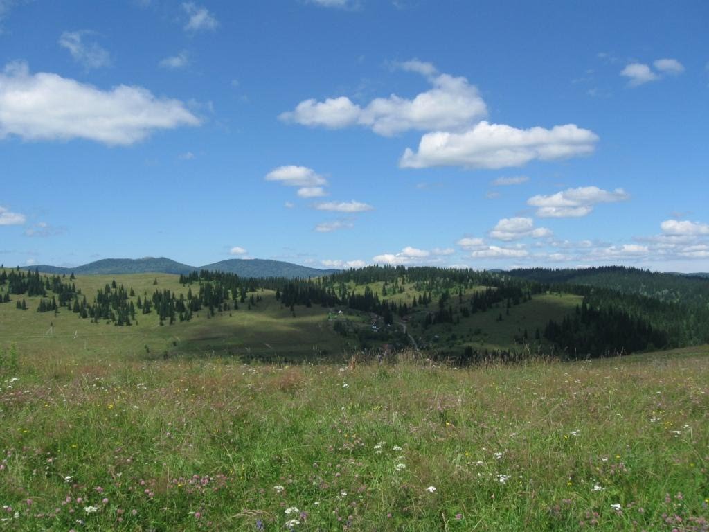 View to the West near Tashtagol