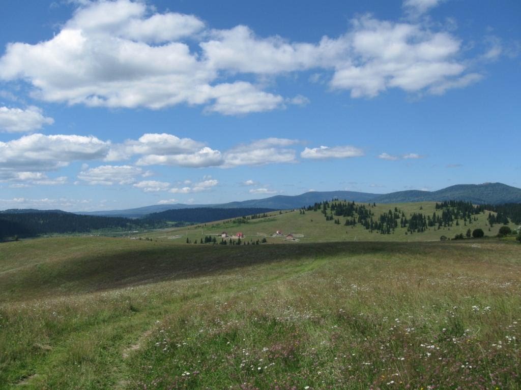 View to the South-West near Tashtagol