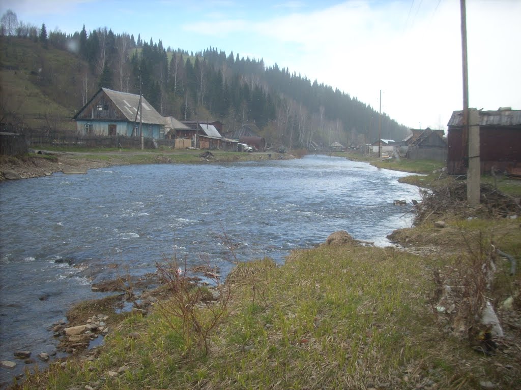 Река Шалым