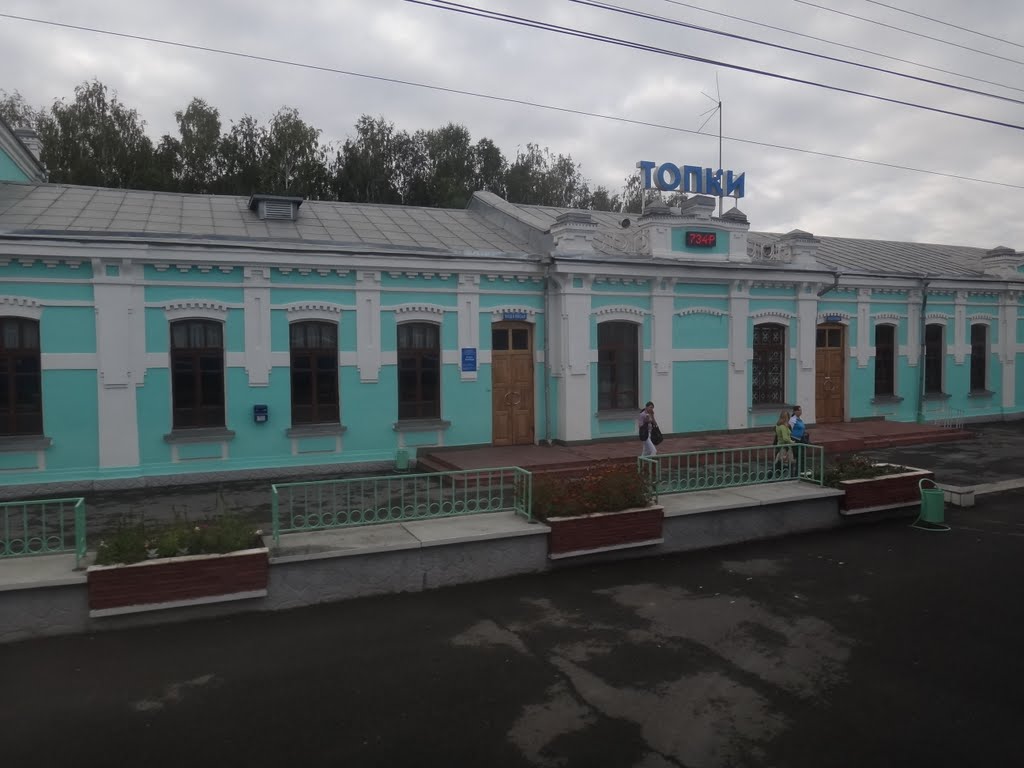 Станция Топки