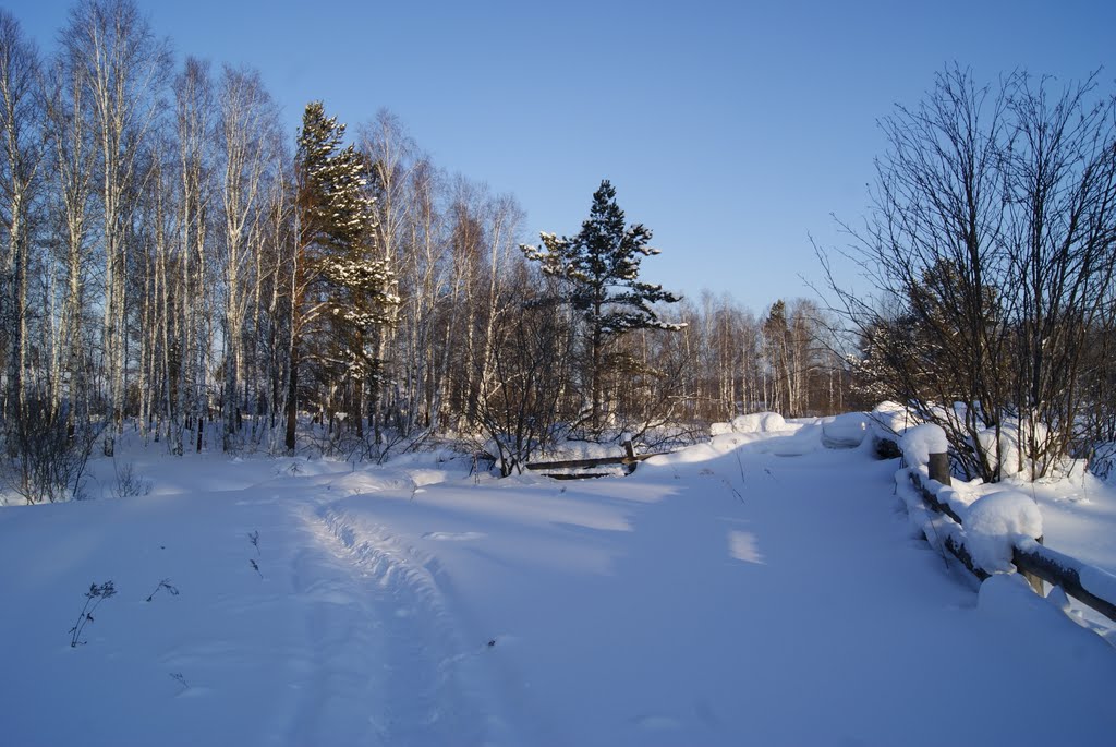 зима в деревени (утро)