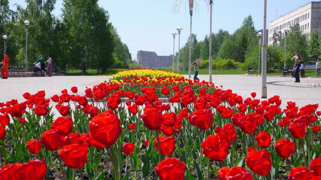 Клумбы у фонтана. 2008г.