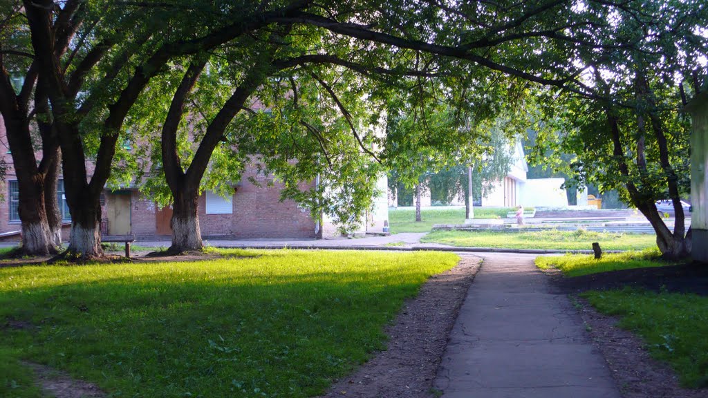 Дорожка.