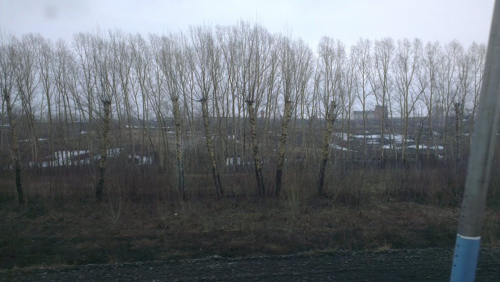 Весна в Яшкино.(Spring in Yashkino.)