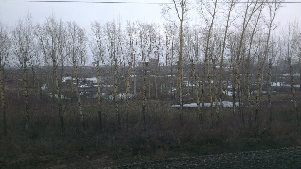 Весна в Яшкино.(Spring in Yashkino.)