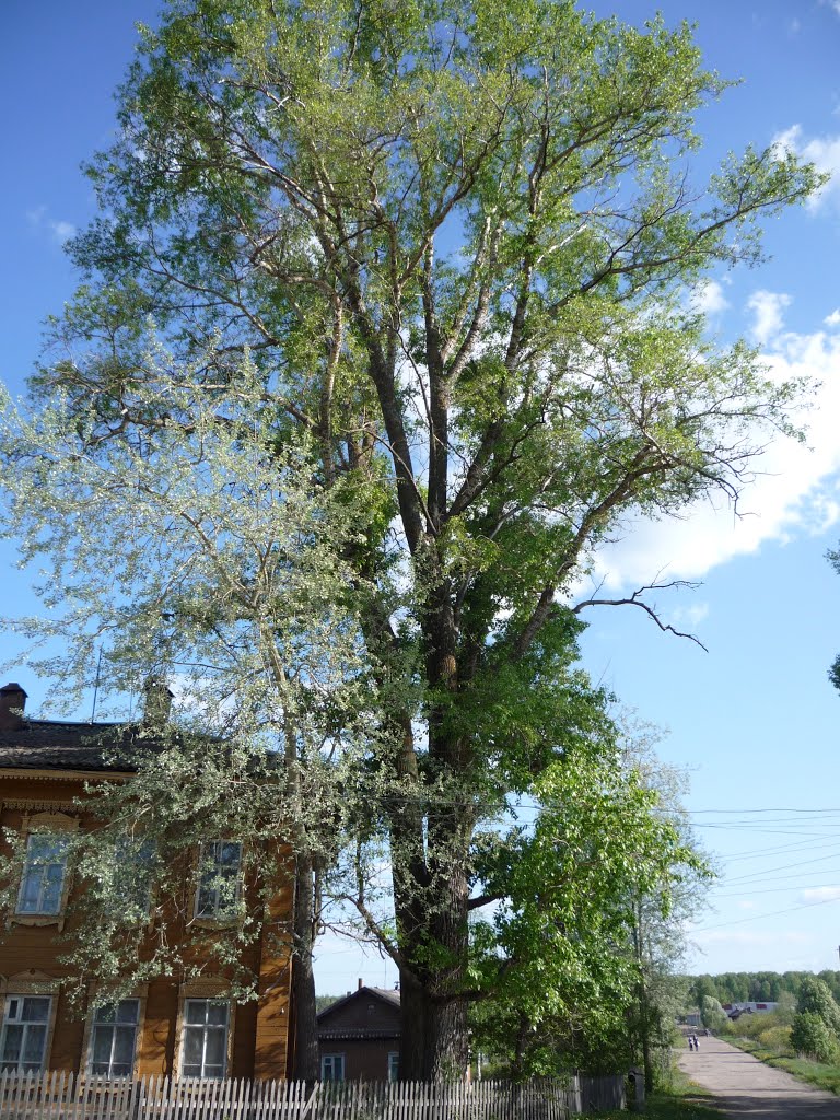 пгт. Арбаж 2011