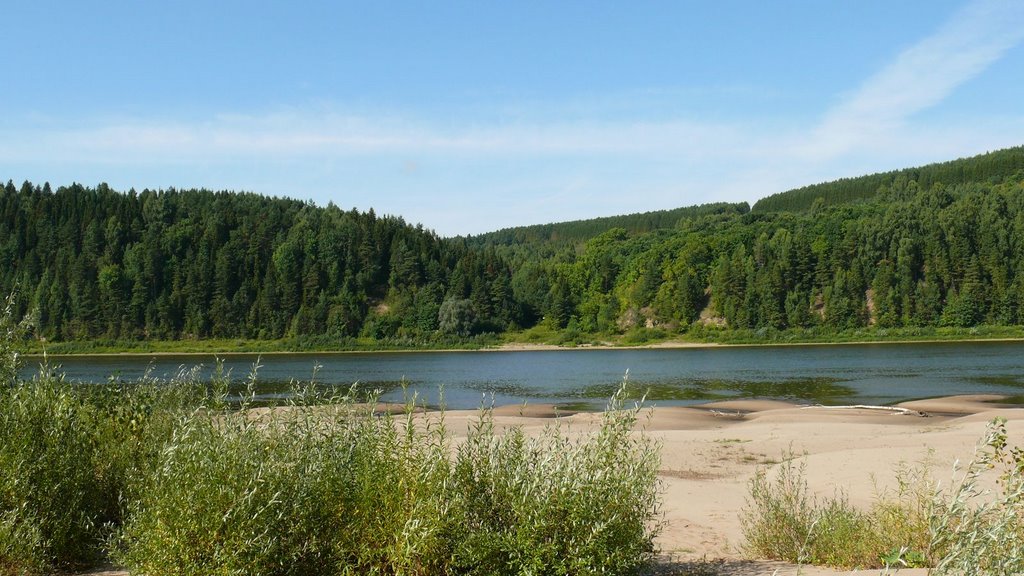 Фокинский лог