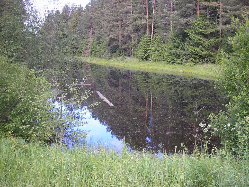 Холуницкие "зеркала"