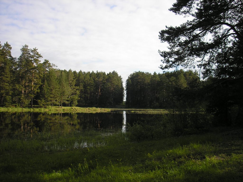 Холуницкие "зеркала"