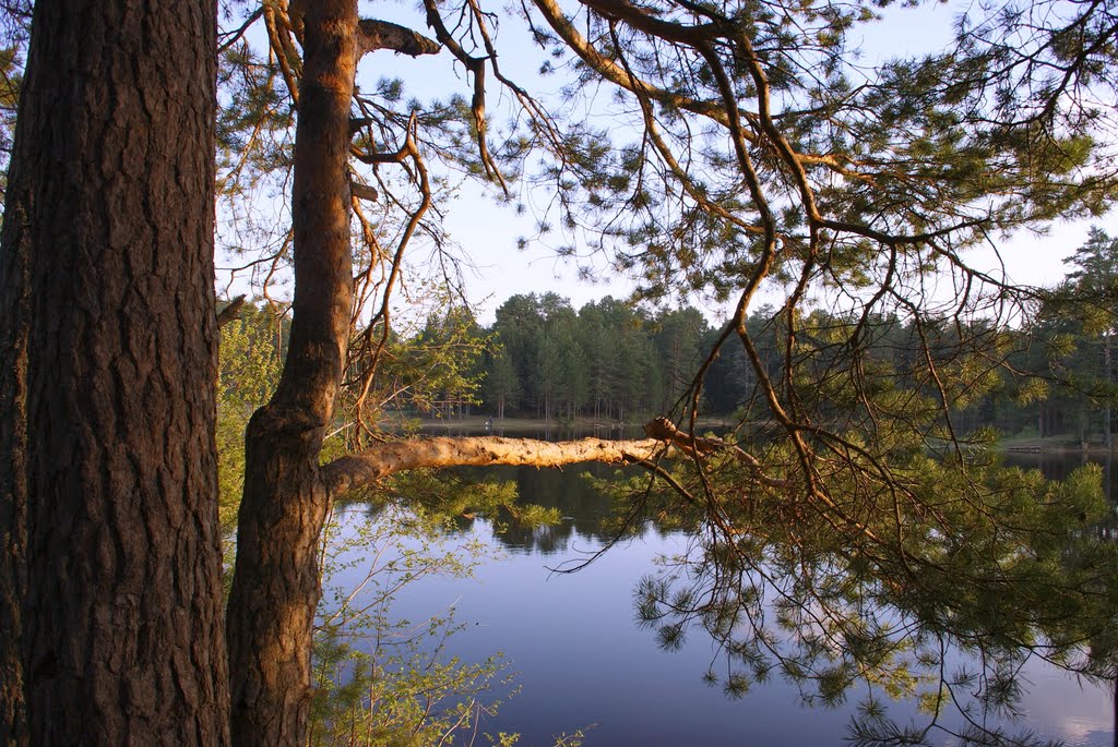Река Шелепиха.