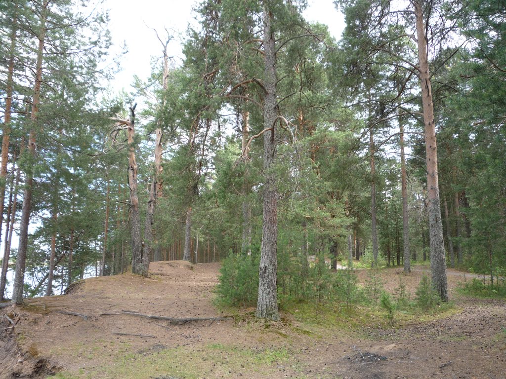 Белохолуницкий пруд 2010