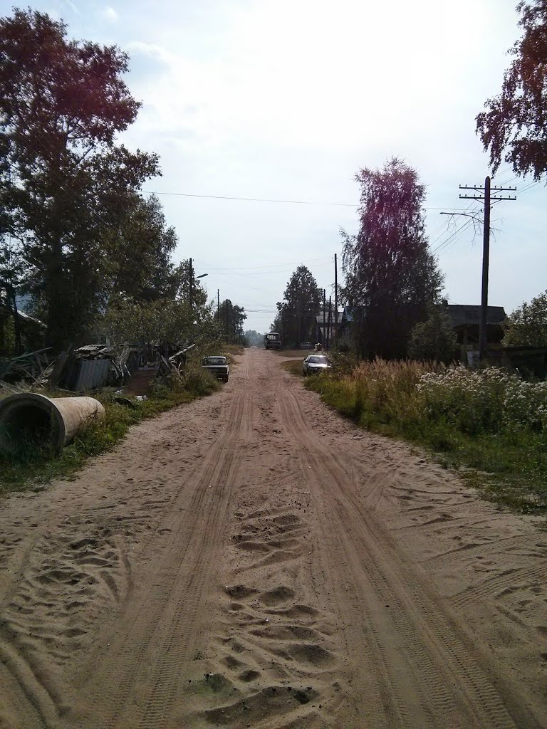 Одна из деревеньских улиц в Белой Холунице