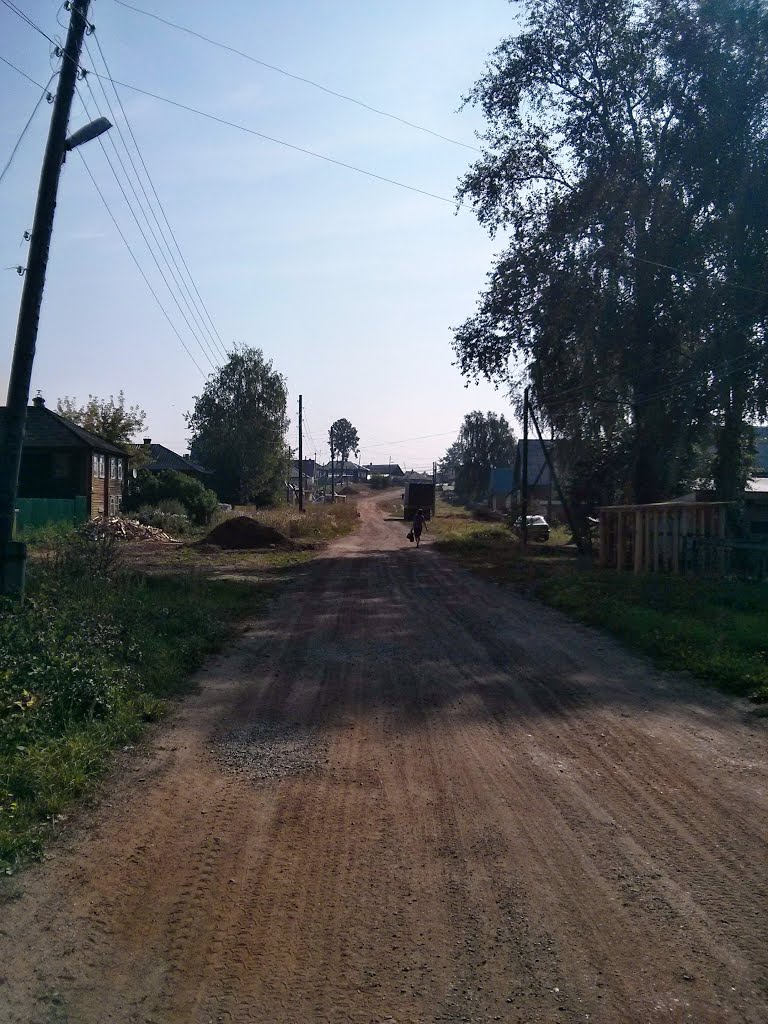 Одна из улиц в Белой Холунице