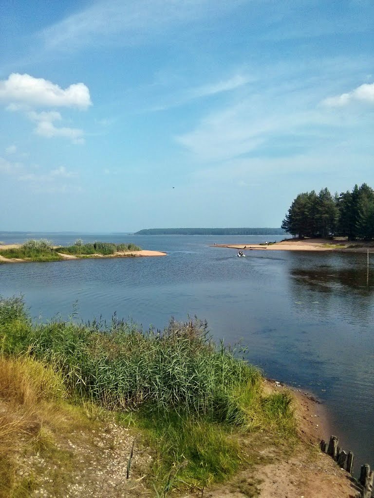 Шелепиха впадает в водохранилище