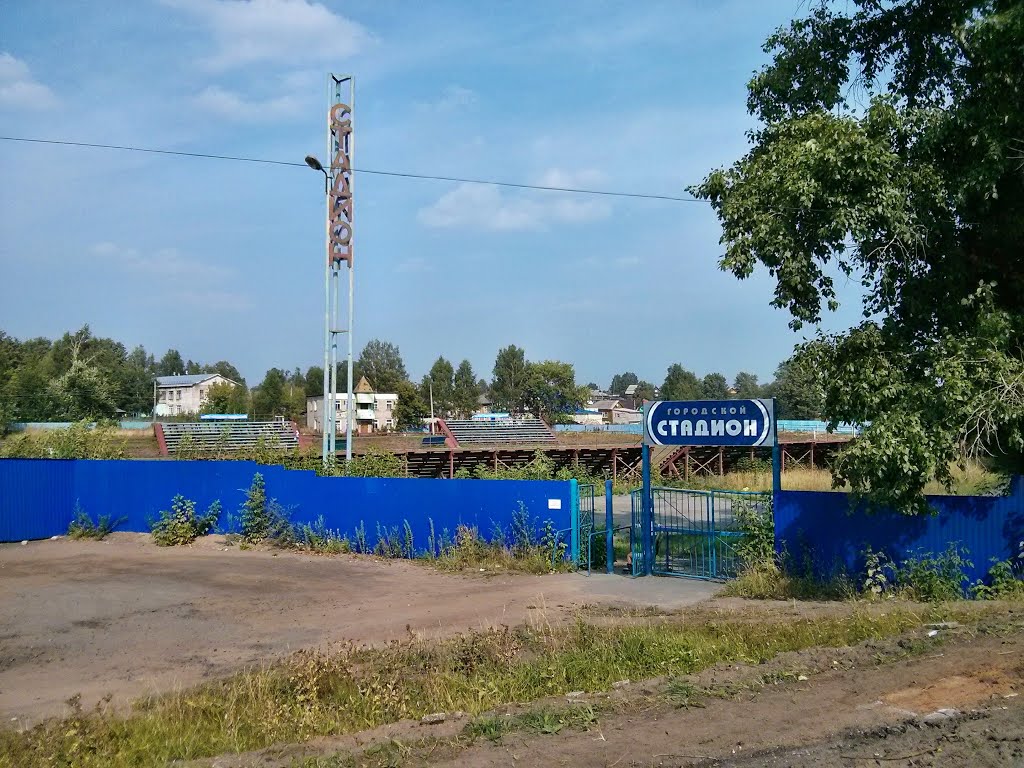 Городской стадион