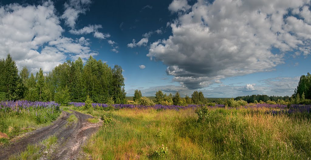 Урочище Дедовский починок