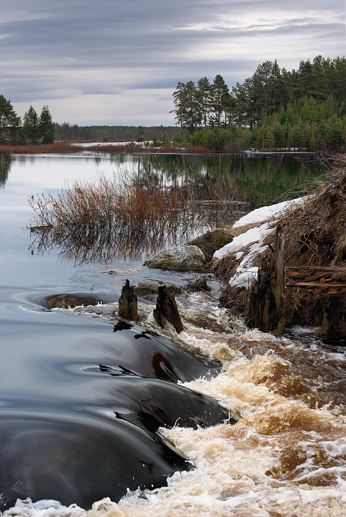У тёмной воды