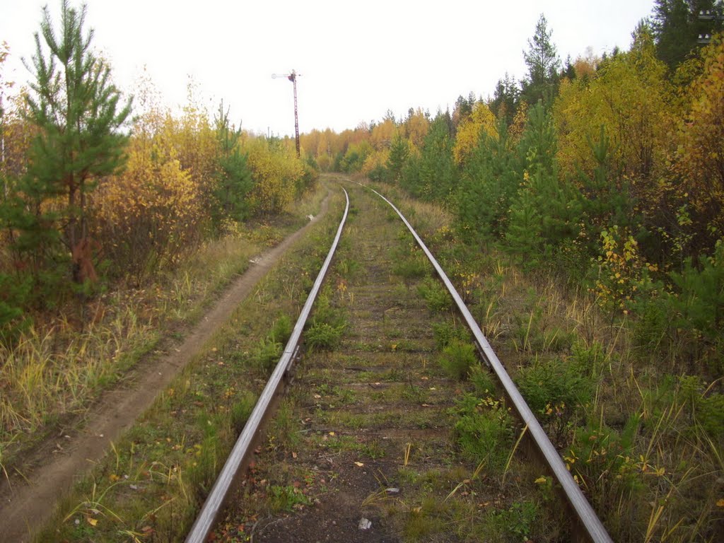 перегон Лесная-Брусничный