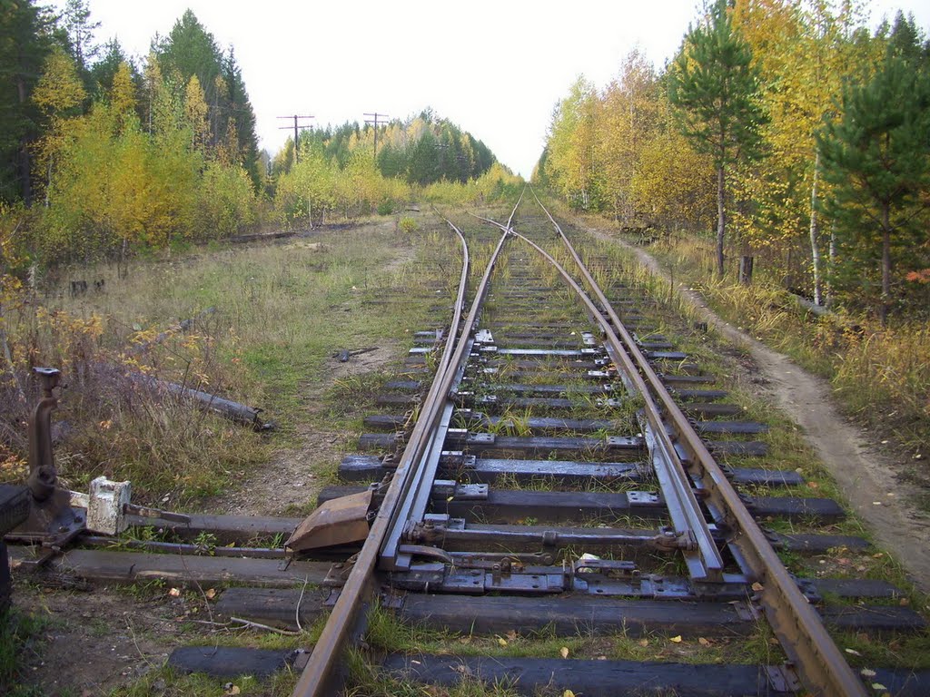 Ответвление на ст.Пашняк(п.Боровой)