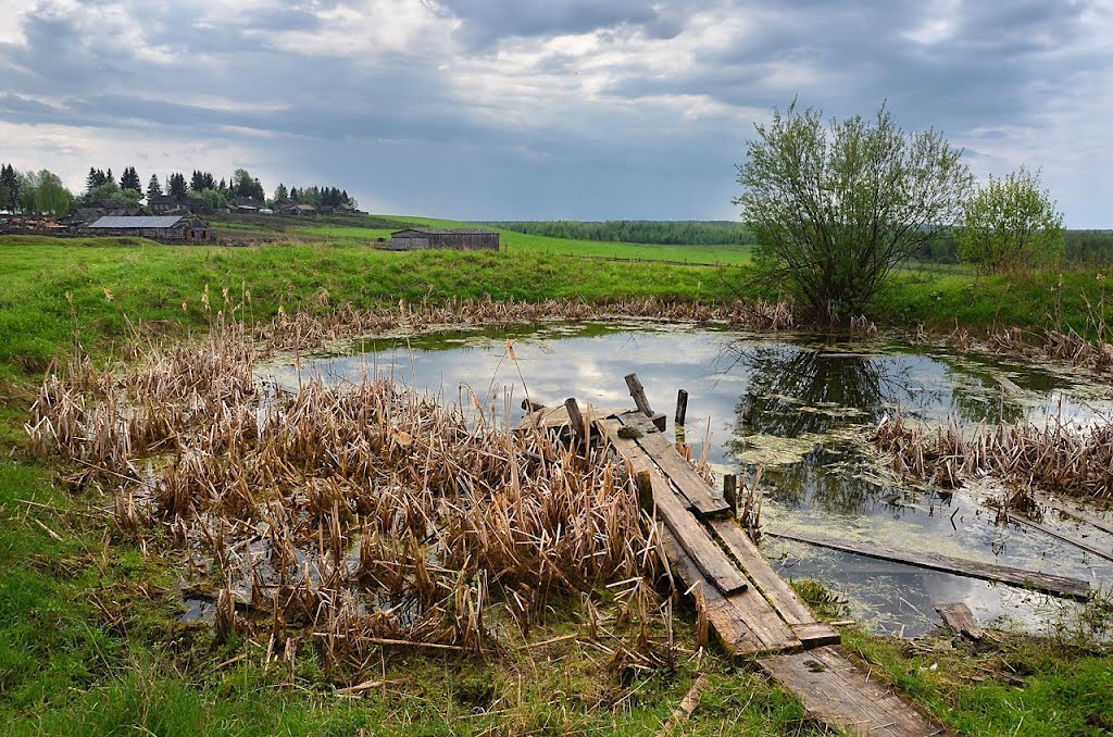 Старцево
