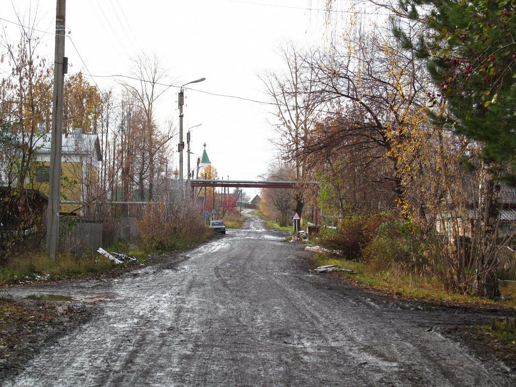 Ул.Воровского, октябрь