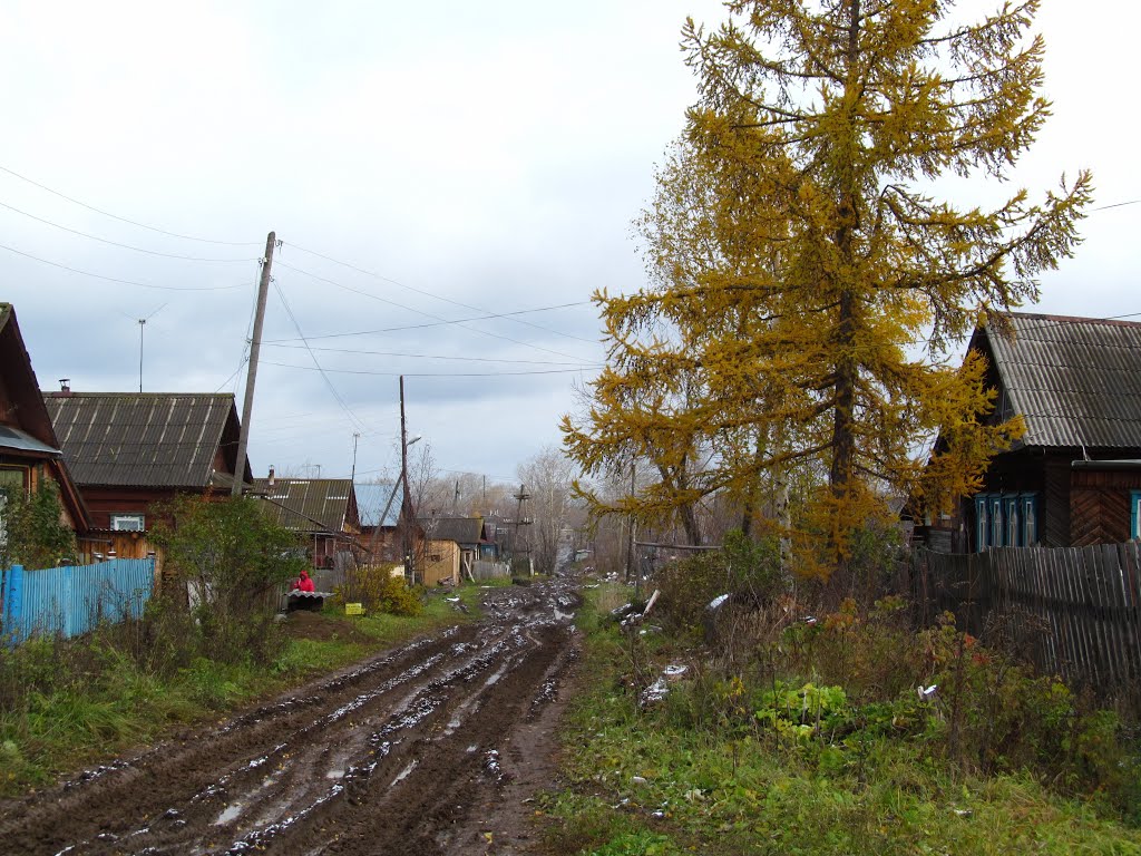 Ул.Базарная, октябрь